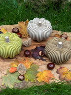 3D-gedruckter Kürbis aus Holzfaser, nachhaltige Herbstdeko von deeKORE.
