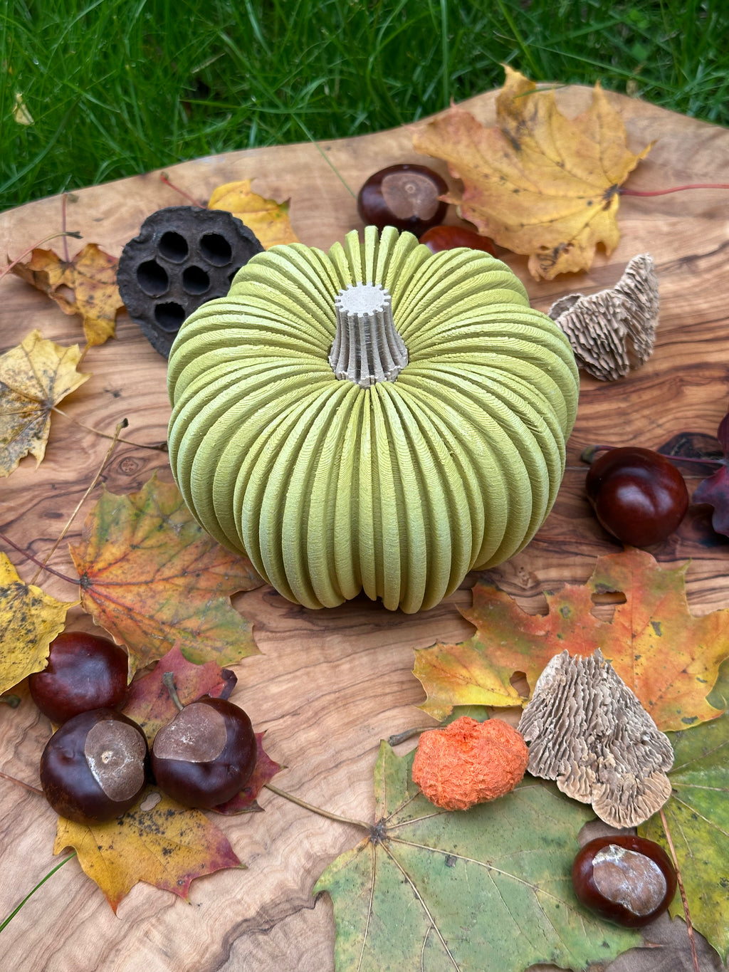 3D-gedruckter Kürbis aus Holzfaser, nachhaltige Herbstdeko von deeKORE.