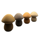 Waldwunder-Pilze aus Holzfaser, handwerklich gefertigte 3D-Druck Deko.
